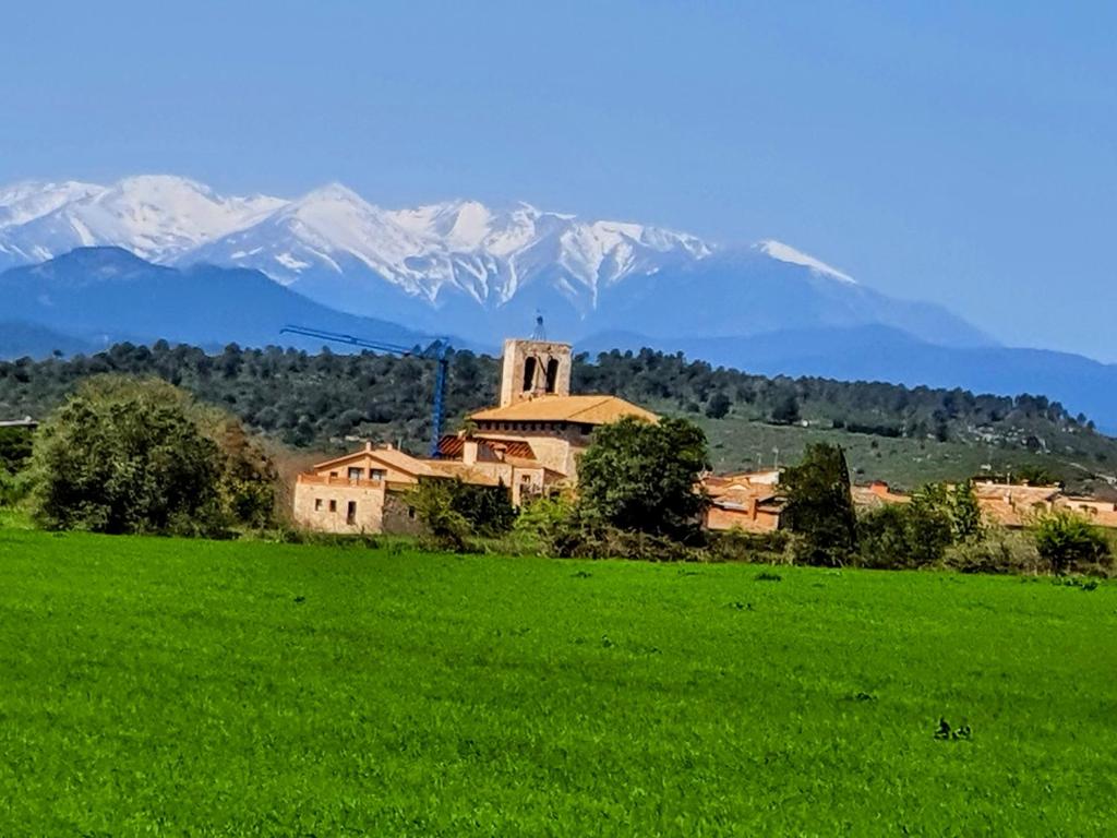 Can Lluna Rural House 3 Apartments, Patio, BBQ & Hiking 5
