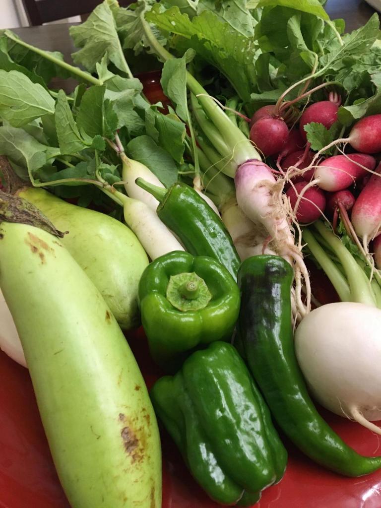 une pile de légumes sur une plaque rouge dans l'établissement Dougoya, à Matsuyama