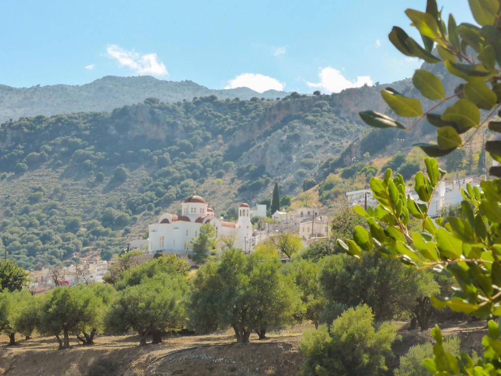 Cinnamon House in Kritsa 8