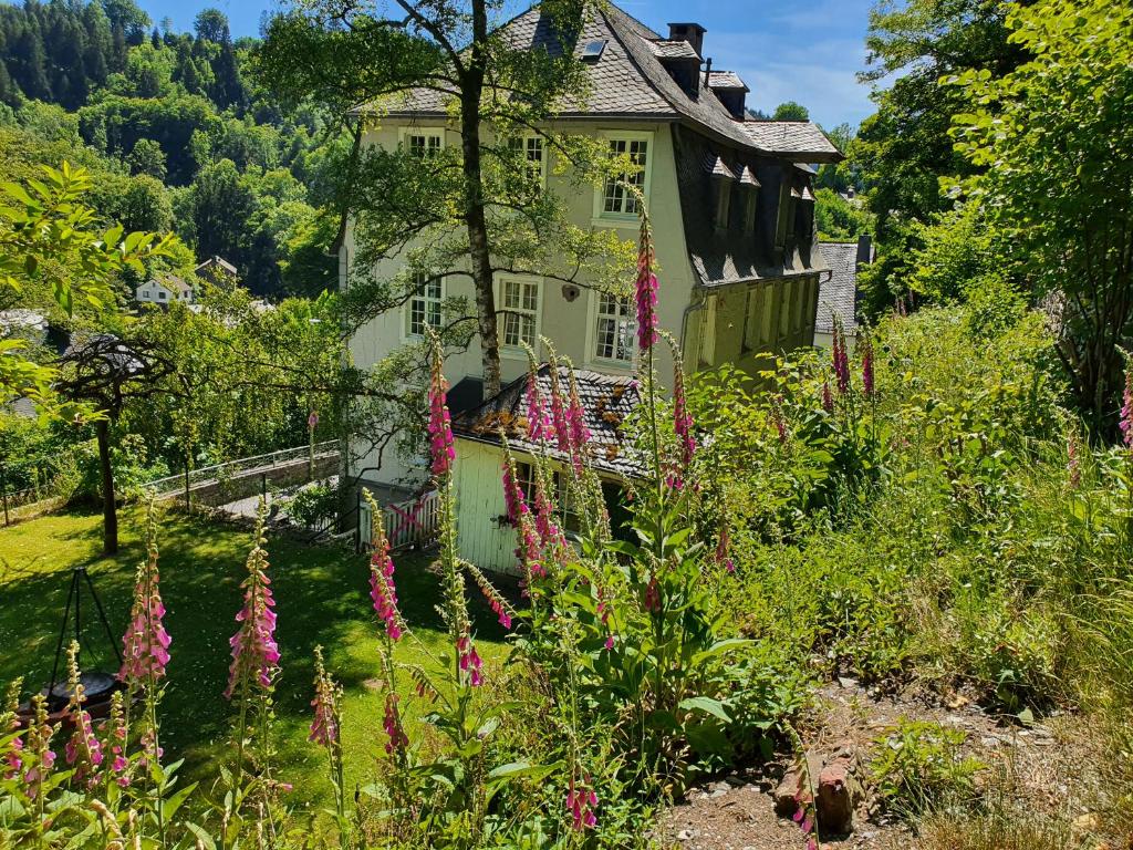 Haus Barkhausen 7
