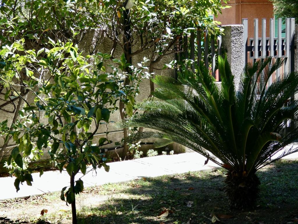 BuenRetiroPe - confortevoli appartamentini con giardino 5
