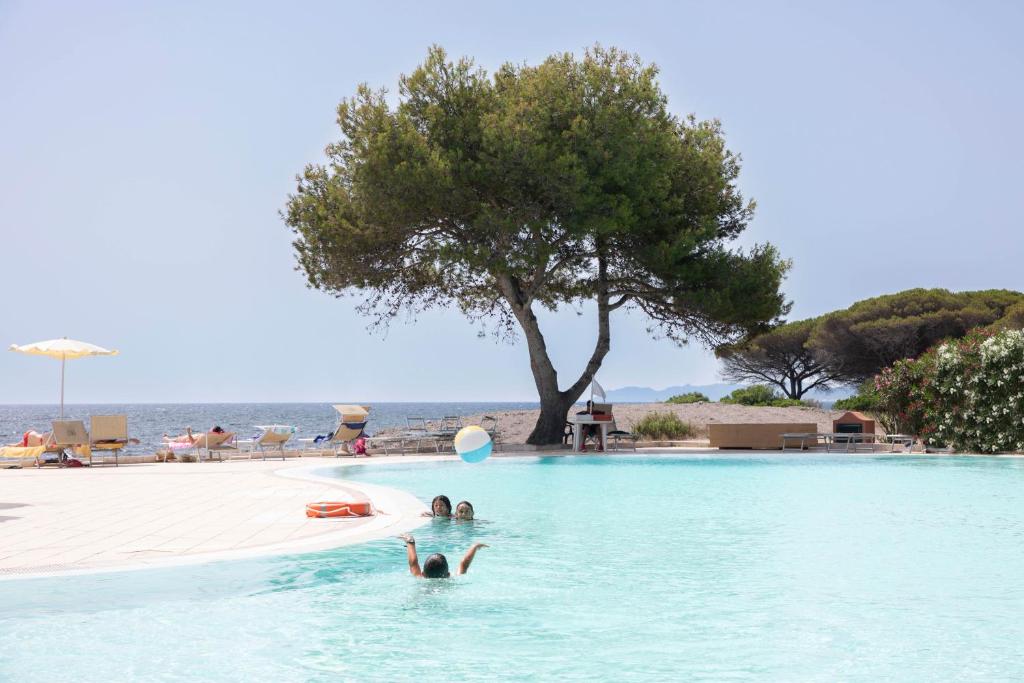 2 personnes se baignant dans une piscine à côté d'un arbre dans l'établissement Club Hotel Marina Seada Beach, à Budoni 31 autres photos