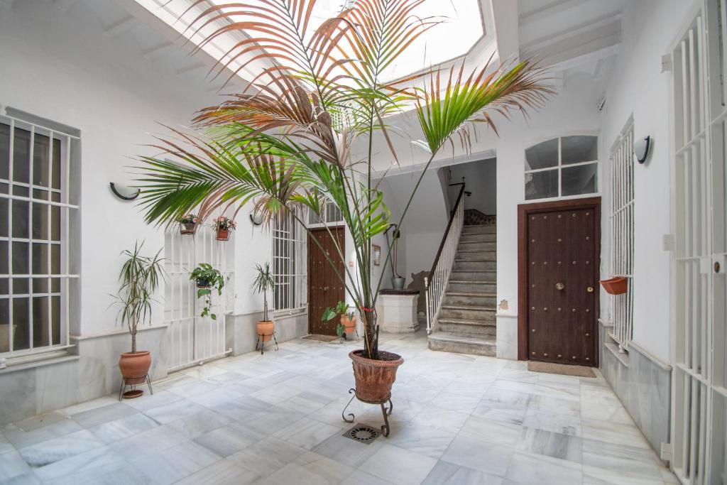 Apartamento Ooh La Lá Cádiz 6