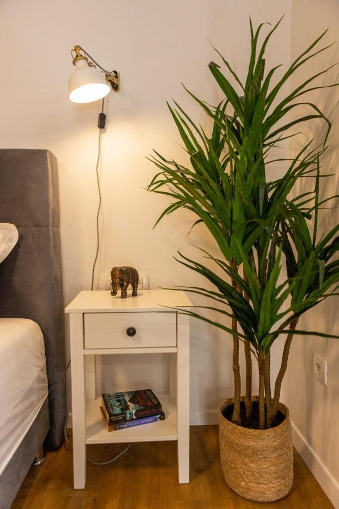 Radunizza Harmony - Charming apartment in Split Oldtown 7