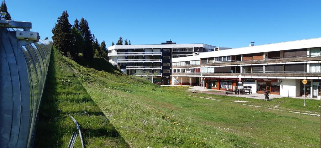 une colline herbeuse devant un bâtiment dans l'établissement Studio aux pieds des pistes Roche Béranger, à Chamrousse