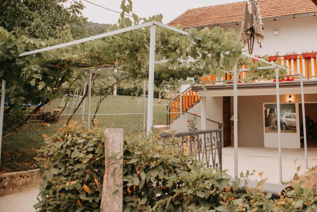 Vidovo Domacinstvo 7