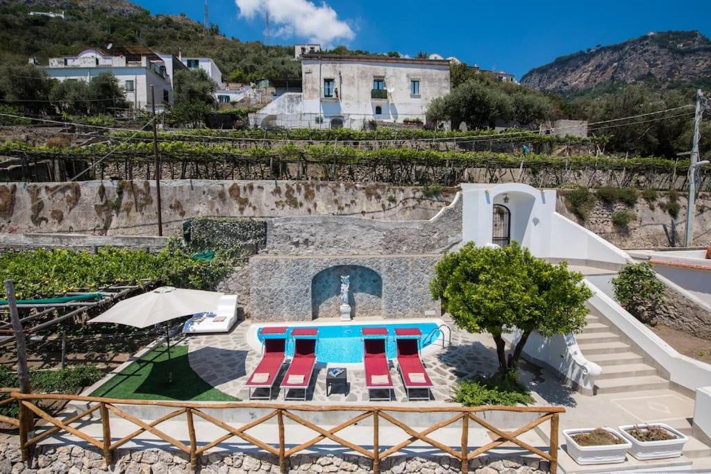 une villa avec une piscine dans un vignoble dans l'établissement Villa Virginia -no steps -private pool-free WiFi, à Praiano