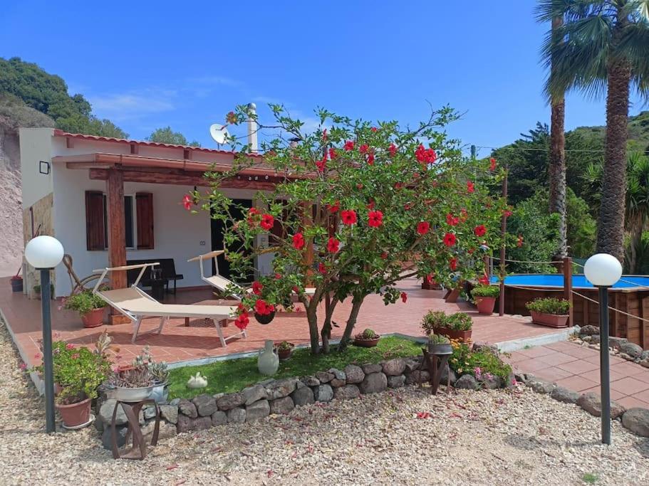 une petite maison avec un arbre à fleurs rouges dans l'établissement Villa Ciù Pino, à Alghero