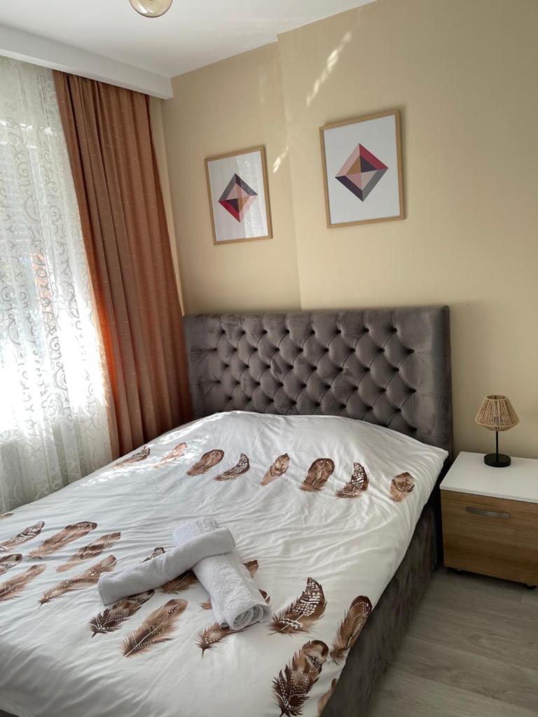 Apartment in Pristina 6
