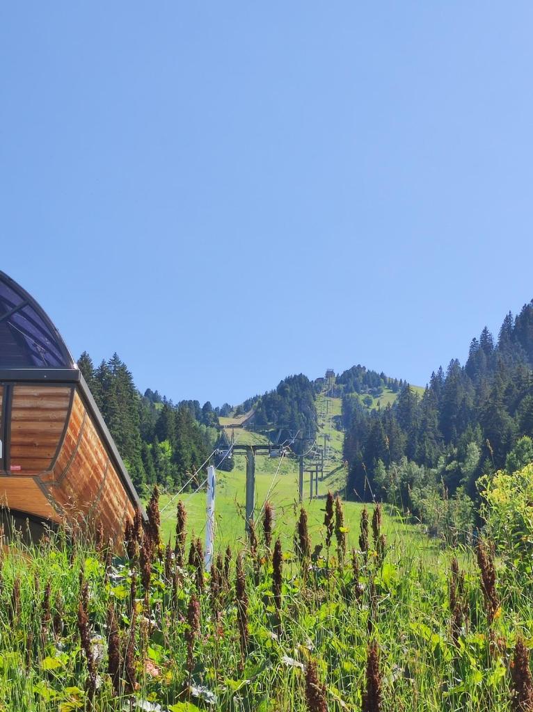 une maison au sommet d'un champ verdoyant dans l'établissement Chamrousse 1700 - Les Villages du Bachat - Silènes C11 - Classé 3 étoiles, à Chamrousse