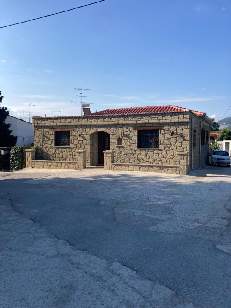 Patriko 6