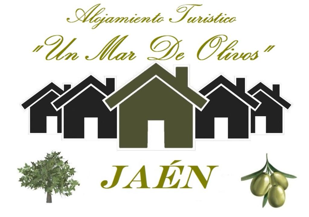 Alojamiento Turístico Un Mar De Olivos Jaén 2