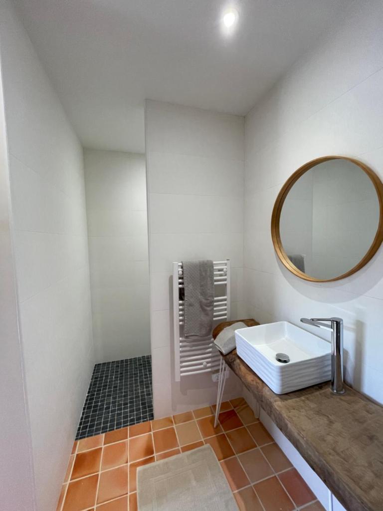 une salle de bain avec un lavabo et un miroir dans l'établissement Gîte de la Foye - Le Lilas, à Combrand
