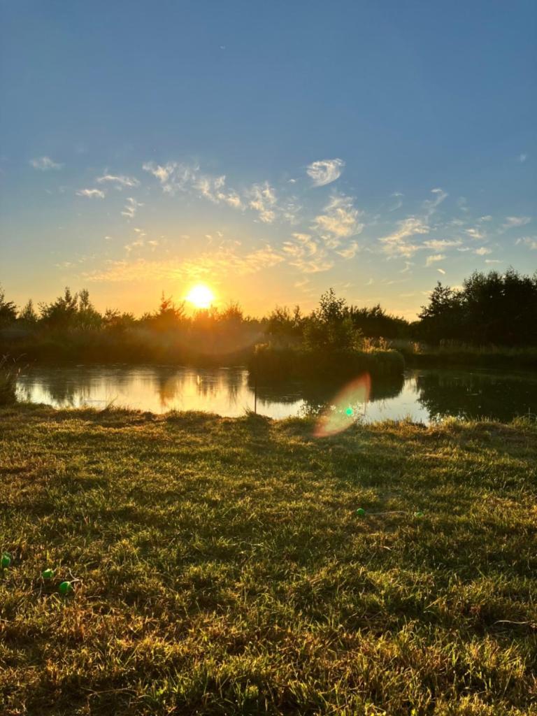 Photo de la galerie de l'établissement Charmant POD en bois près d'un plan d'eau, à Nielles-lès-Ardres