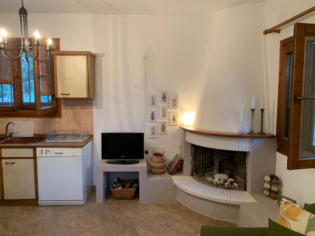 Zeusplace Olympus Olive Country House 1 ground floor 3