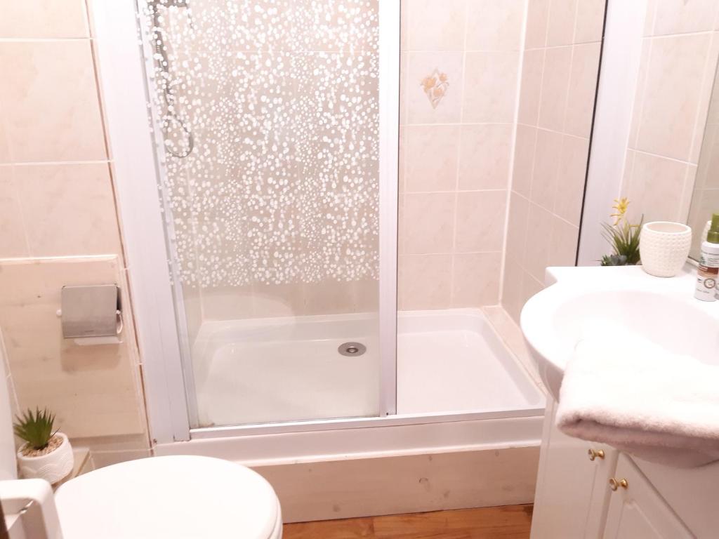 une salle de bain avec une douche, des toilettes et un lavabo dans l'établissement Vue magique en hypercentre avec parking privatif, à Chamonix-Mont-Blanc