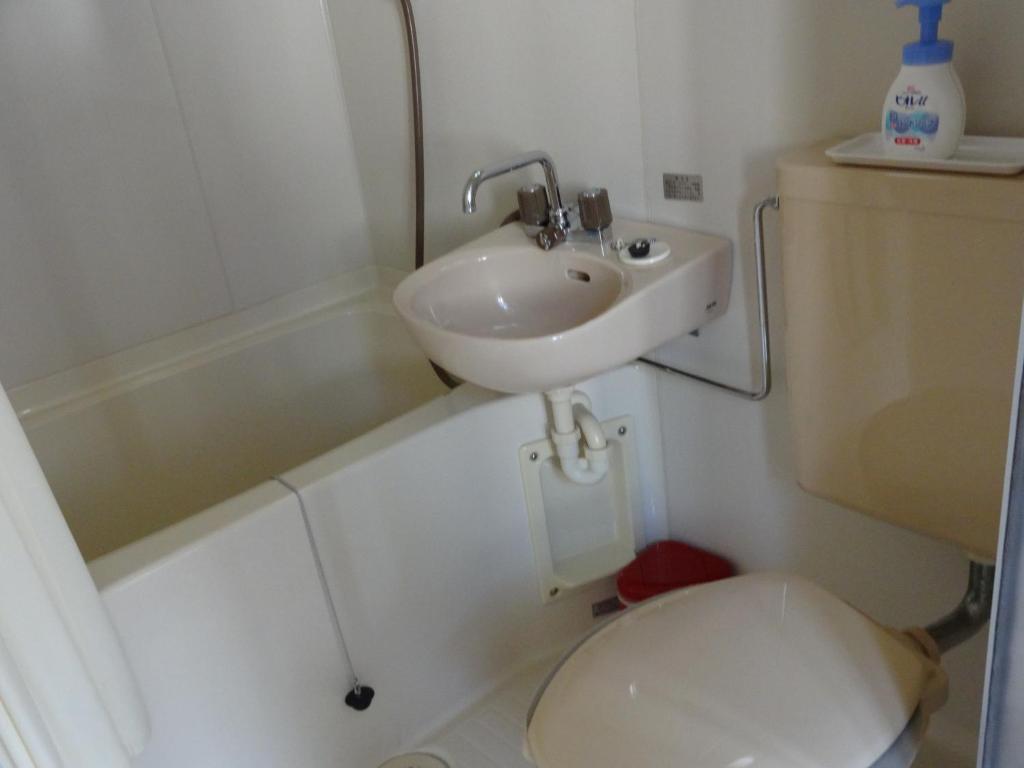 une petite salle de bain avec un lavabo et des toilettes dans l'établissement Oomukou Ryokan, à Hakuba 32 autres photos