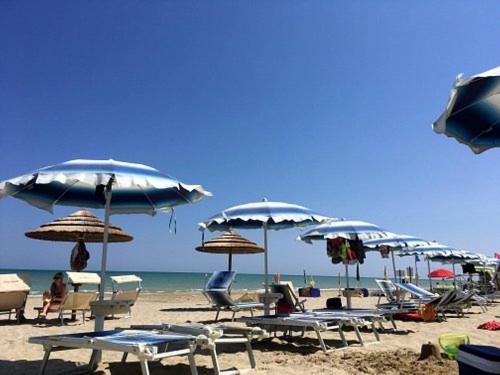 un groupe de chaises et de parasols sur une plage dans l'établissement Nuovo HOTEL SETTIBI 20m dalla spiaggia, à Giulianova