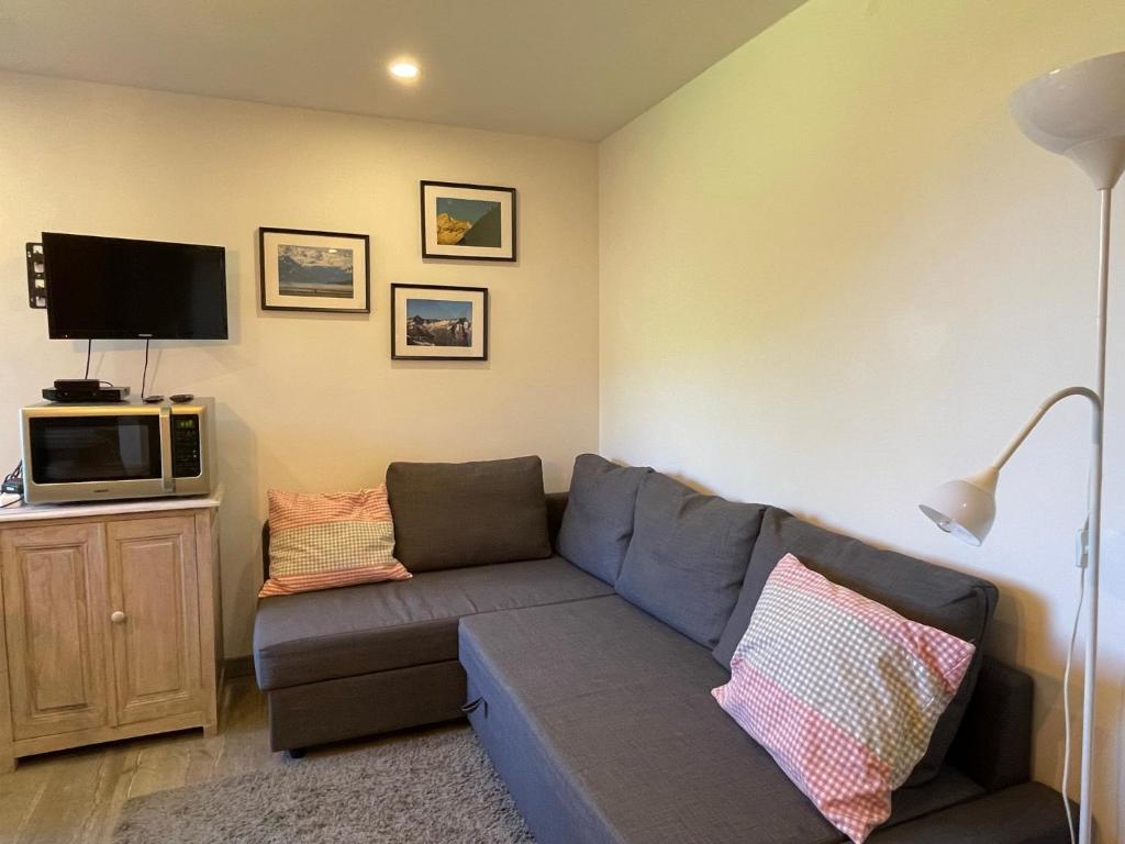 un salon avec un canapé et une télévision dans l'établissement Studio 2 Alpes 1800, pied des pistes, à Les Deux Alpes