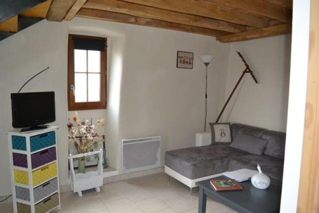 un salon avec un canapé et une télévision dans l'établissement Gite rural au calme en Cévennes Gardoises, à Saint-Jean-du-Gard