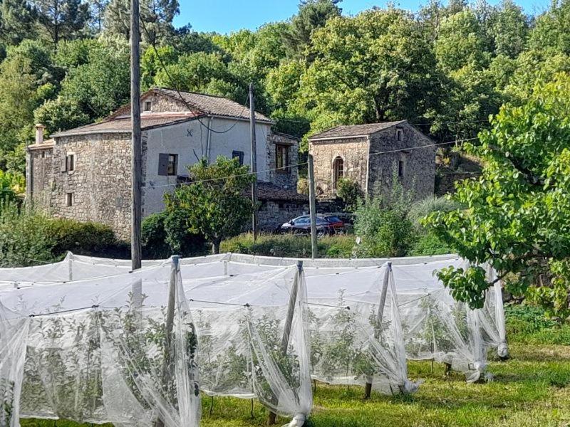 un jardin avec des filets blancs en face d'une maison dans l'établissement Gite rural au calme en Cévennes Gardoises, à Saint-Jean-du-Gard