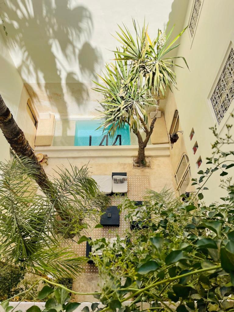 un bâtiment avec des arbres et des plantes dans une cour dans l'établissement Riad 144, à Marrakech