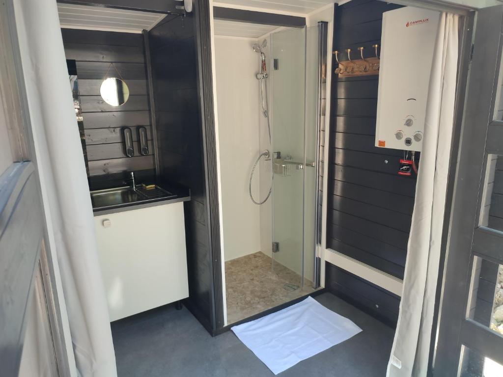 une salle de bain avec une douche, un lavabo et un miroir dans l'établissement Bulles d'Auvergne, à Cesset