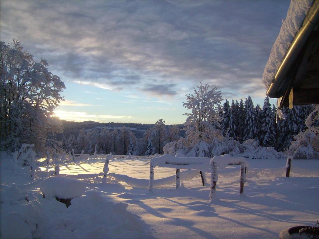 une cour recouverte de neige avec le coucher du soleil en arrière-plan dans l'établissement Gite du Brin d'Herbe, à Pontarlier
