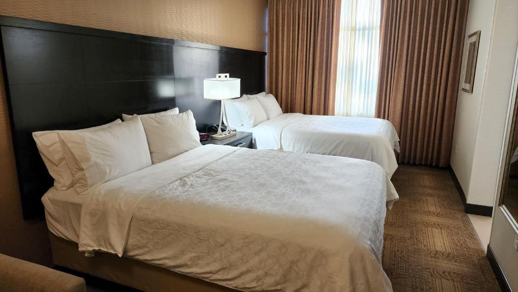 Staybridge Suites Denver Downtown, an IHG Hotel Image