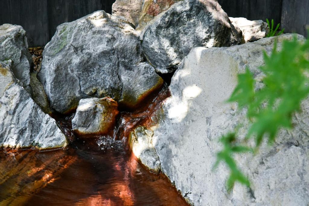Photo de la galerie de l'établissement Ryokan Yayanoyu, à Ueki