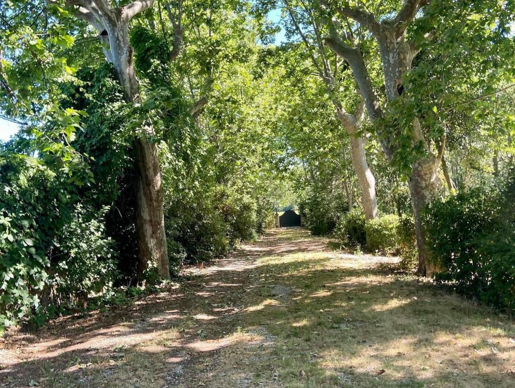 SCI Domaine Saint Martin le grand 6