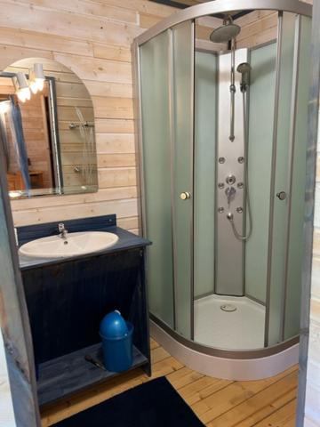 une salle de bain avec douche et lavabo dans l'établissement Chalet 8-10 personnes sur la station des Rousses, à Lamoura