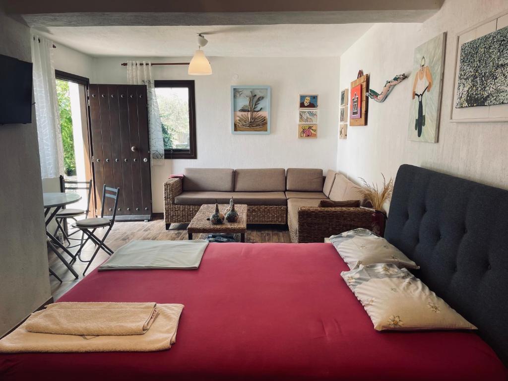 Panorama Studio Afetes 1