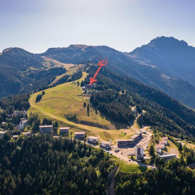 Vue aérienne d'un champ au milieu d'une montagne dans l'établissement Ski-to-door apartment au Collet d'Allevard, à Allevard