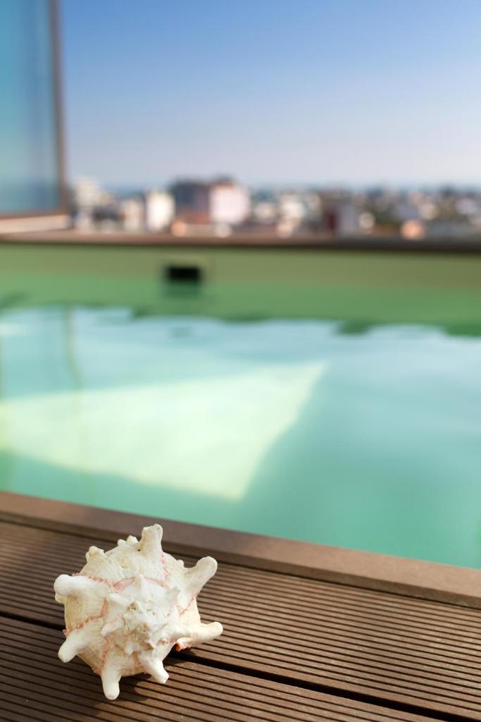 un coquillage assis au-dessus d'une table dans l'établissement Hotel Europa Lignano, à Lignano Sabbiadoro