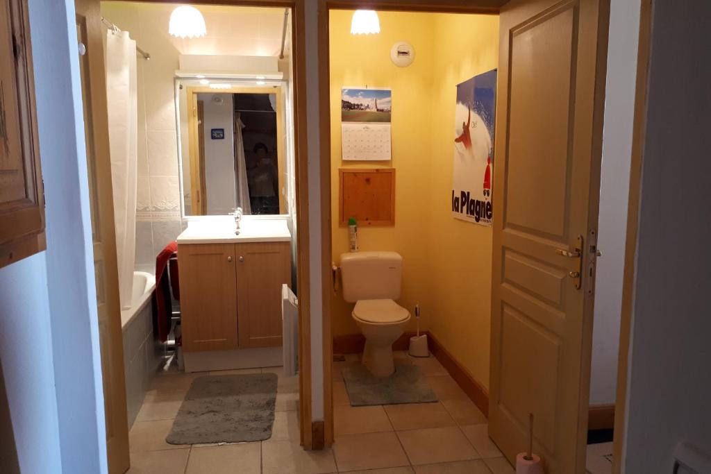 une salle de bain avec toilettes, lavabo et miroir dans l'établissement Le Chalet de Montalbert 25C, à Montalbert 8 autres photos
