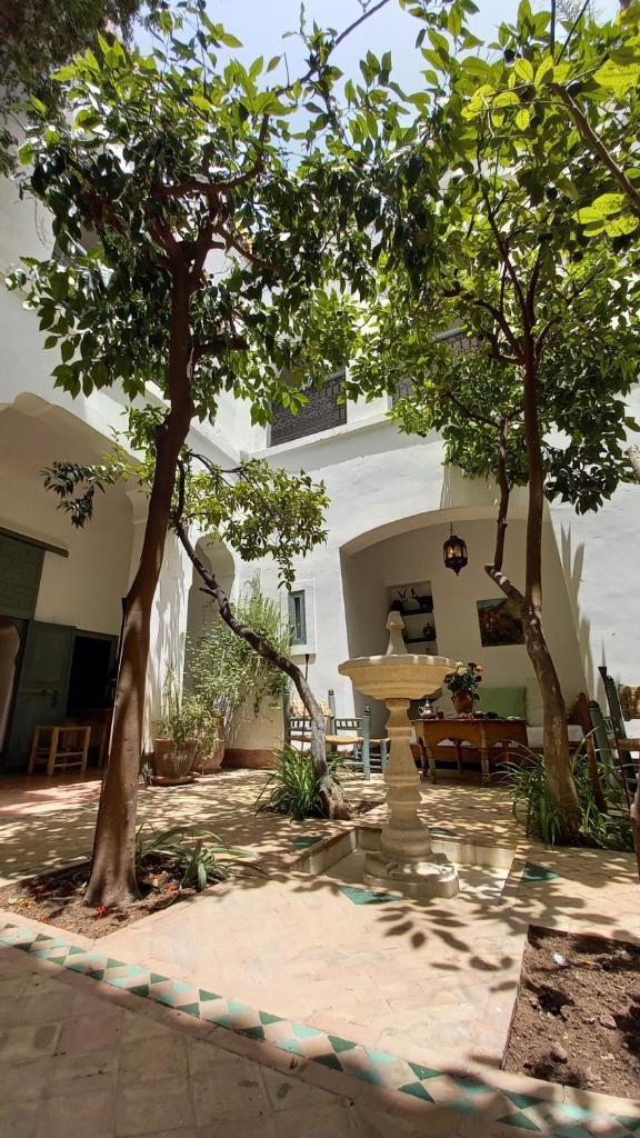 - une cour avec deux arbres, une table et des chaises dans l'établissement Dar El Kharaz, à Marrakech 23 autres photos