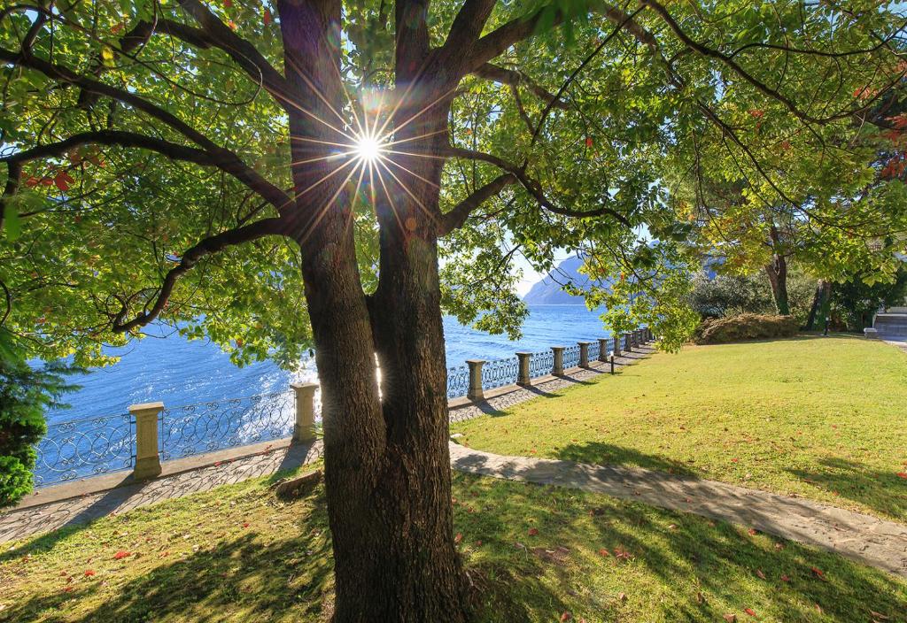 Photo de la galerie de l'établissement VillaRenza, à Oliveto Lario