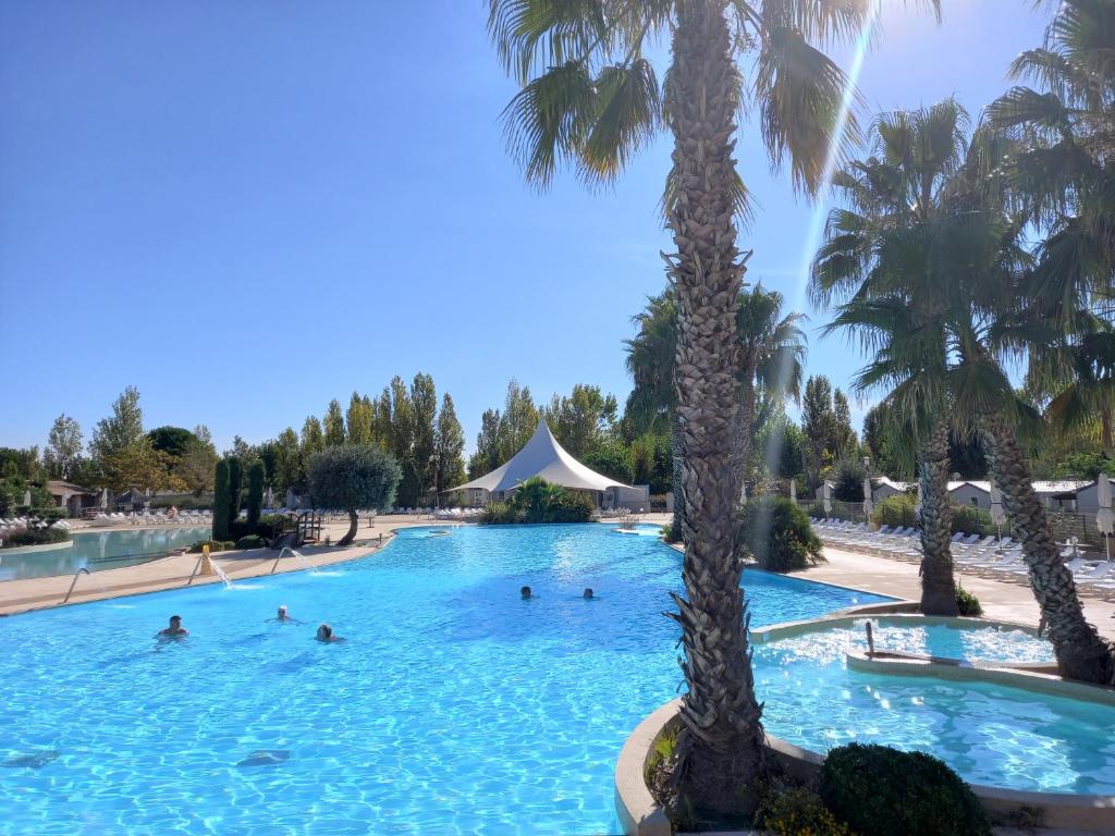 - un groupe de personnes se baignant dans une piscine bordée de palmiers dans l'établissement JOLI MOBILHOME 8 PERS climatisé CA62, à Vias