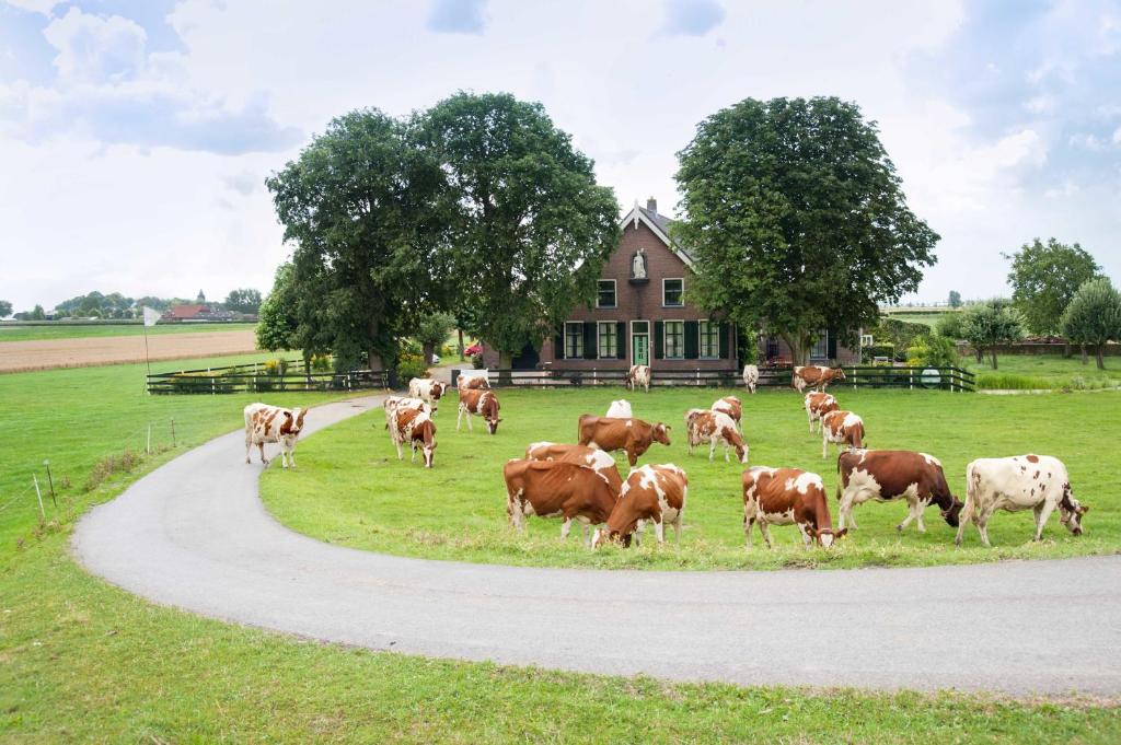 Sint Nicolaashoeve 1