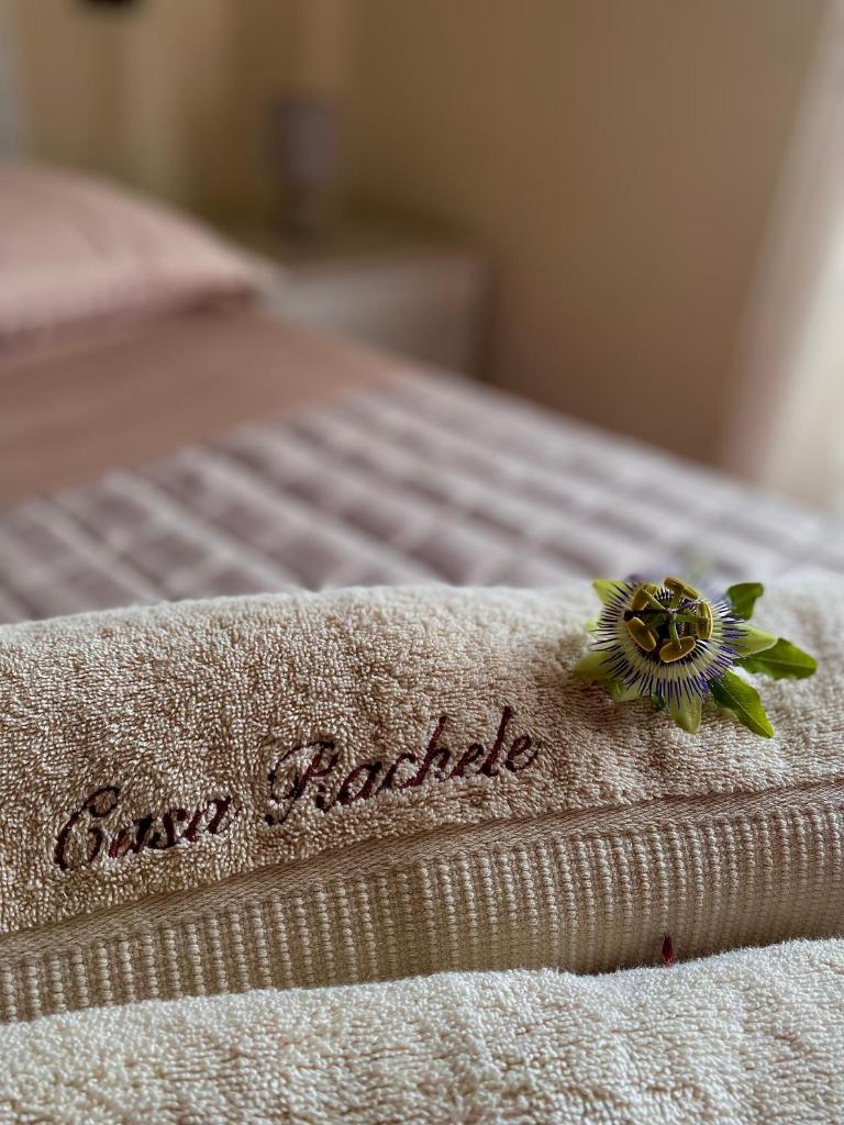 Casa Rachele Apartment