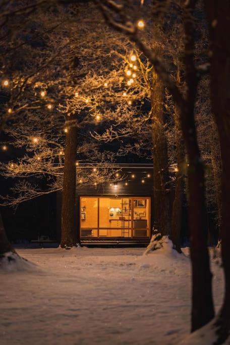 Beautiful Tiny house on the lake side. 6