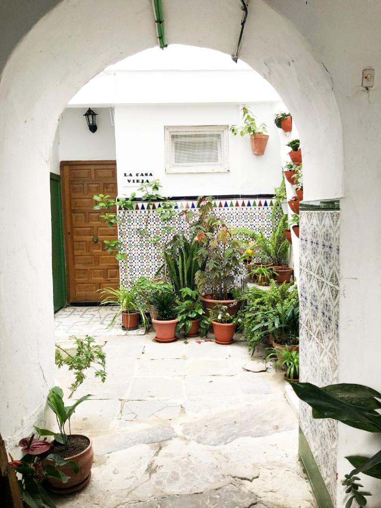 Casa Perla - Rosa - A hidden gem in the old town Tarifa 6