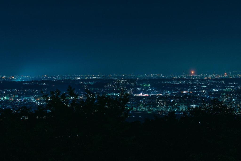 - une vue sur la ville la nuit dans l'établissement KAMENOI HOTEL Tondabayashi, à Tondabayashi