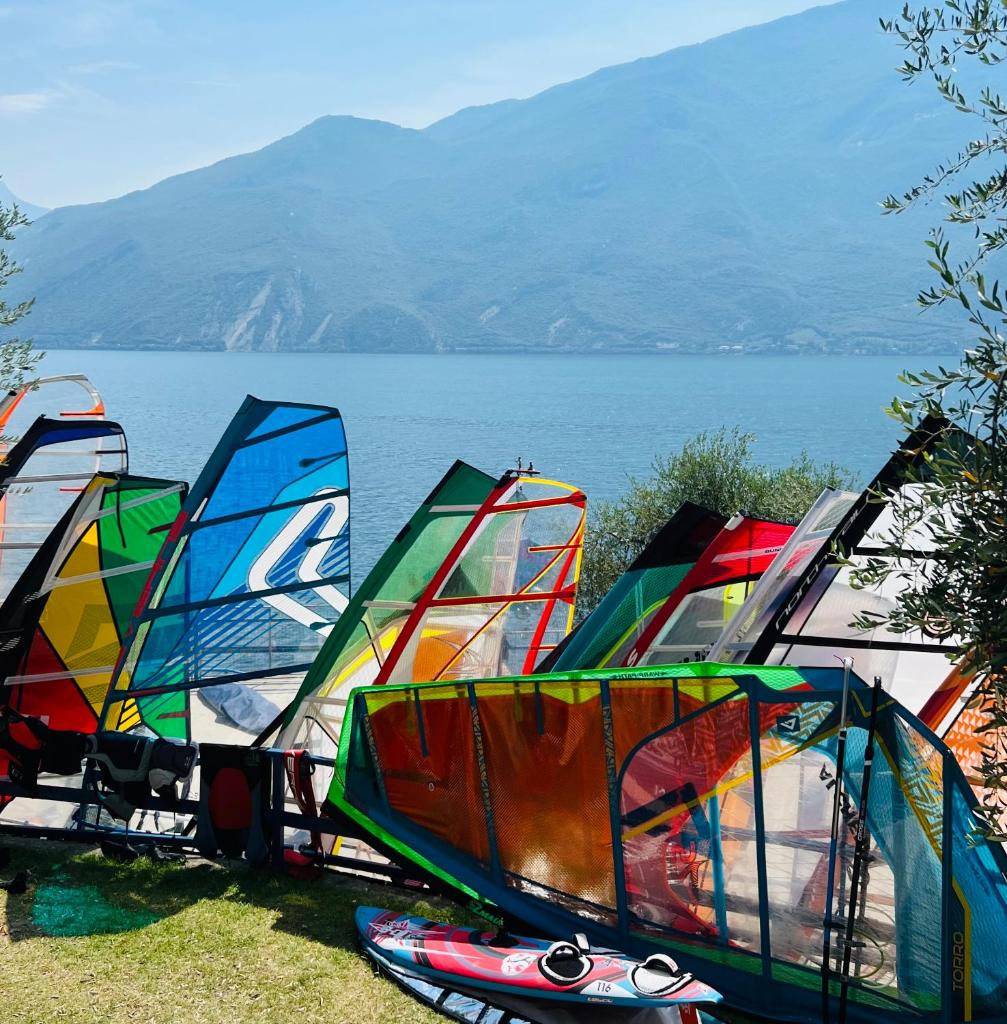 un groupe de voiliers garés sur l'herbe près de l'eau dans l'établissement Surf Hotel Pier - Montagnoli Group, à Limone sul Garda