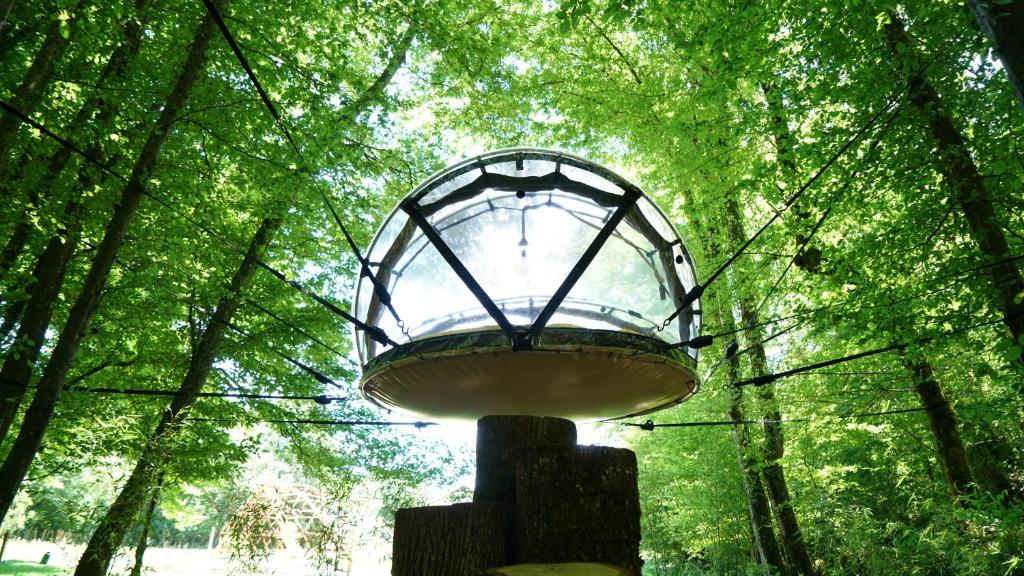 une lumière sur un pôle au milieu d'une forêt dans l'établissement Ô Pays Des Bois - Hébergements insolites en pleine nature, à Parmilieu