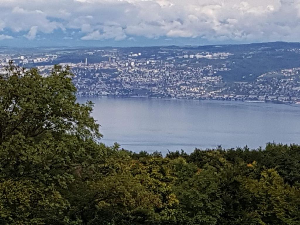 une vue d'une ville et d'un plan d'eau dans l'établissement SUPERBE APPARTEMENT T2 3 ETOILES 40m2 PIED DES PISTES VUE SUR LE LAC, à Thollon-les-Mémises