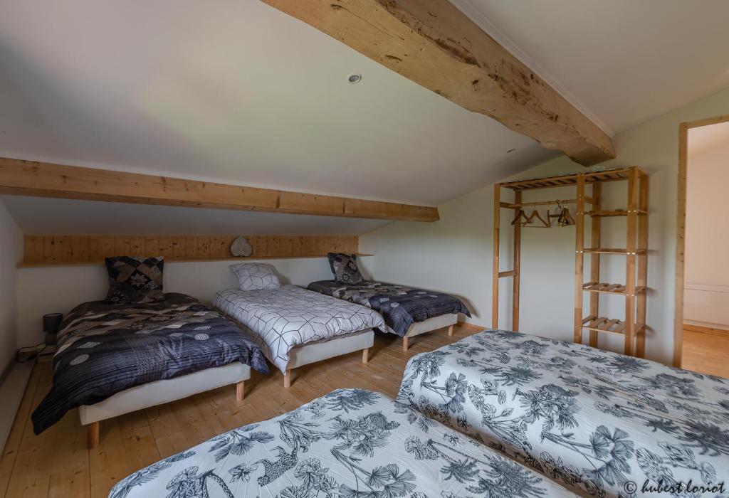 - une chambre avec 3 lits et une échelle dans l'établissement Gites Les Granges De Flolie, à Beauteville