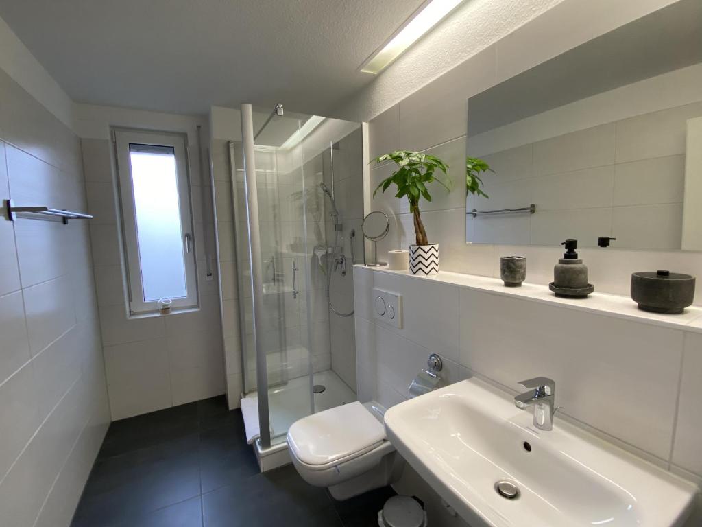 RR - Tiny Apartment - Parking - Kitchen - WIFI 8