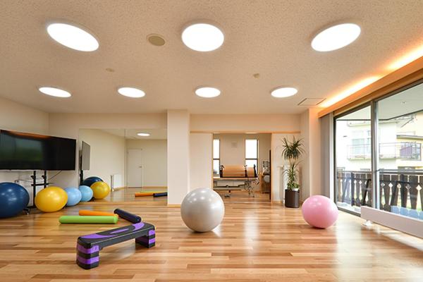 Cette grande chambre dispose d'une salle de sport aux ballons colorés. dans l'établissement Hotel Takimoto, à Yamanouchi